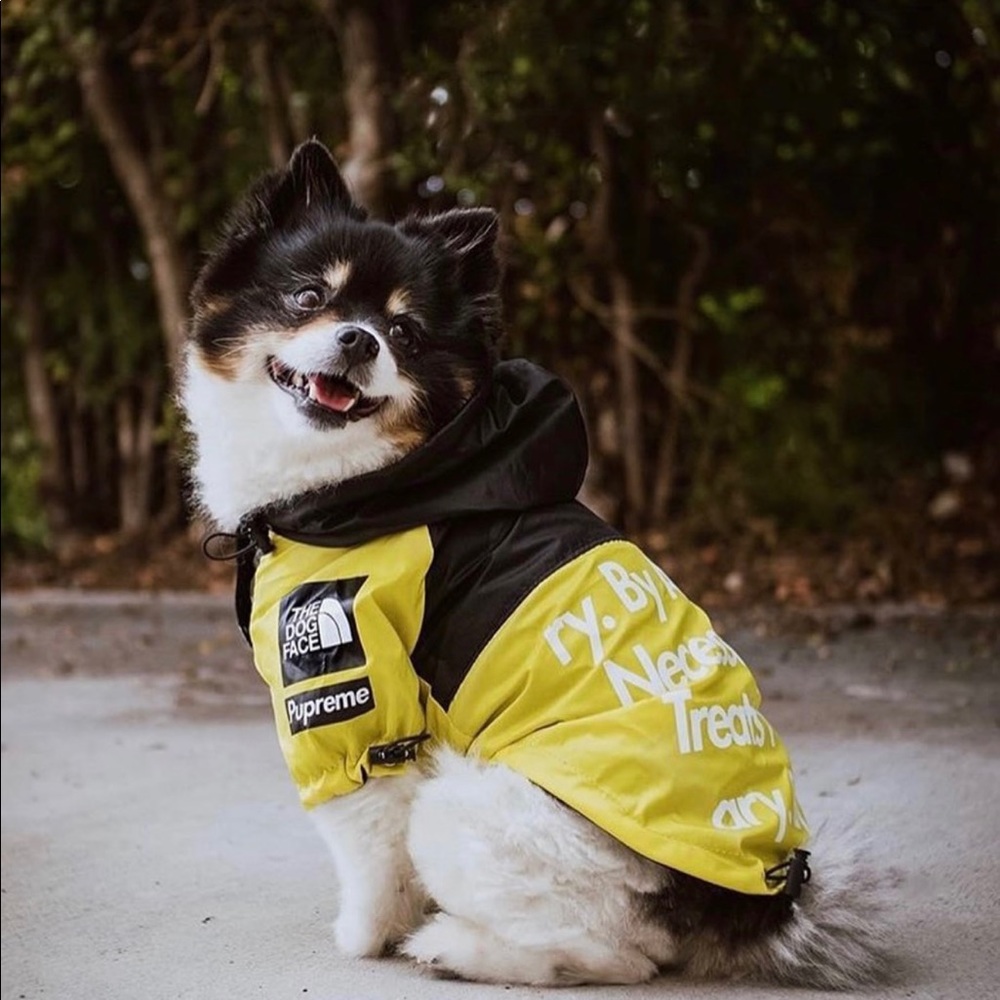 Dog Face Rain Coat